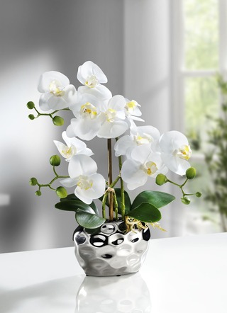 BADER Kunst- - Textilpflanzen & | Topf Orchidee im