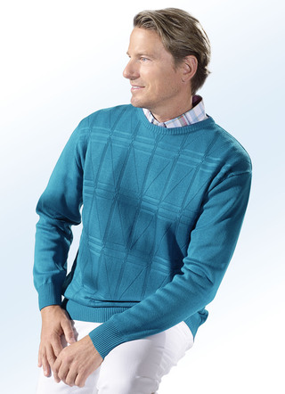 Elegante Pullover für Herren – jetzt kaufen!