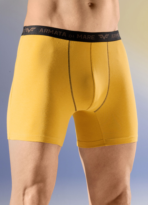 Pants & Boxershorts - Viererpack Pants mit Elastikbund, in Größe 004 bis 011, in Farbe 2X OCKER, 2X BRAUN Ansicht 1