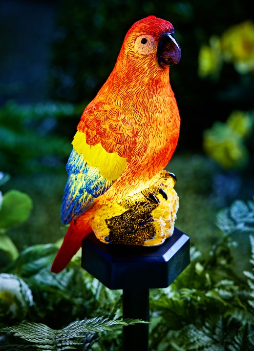 Solar-Papagei mit Erdspieß - Leuchtende Dekoration | BADER