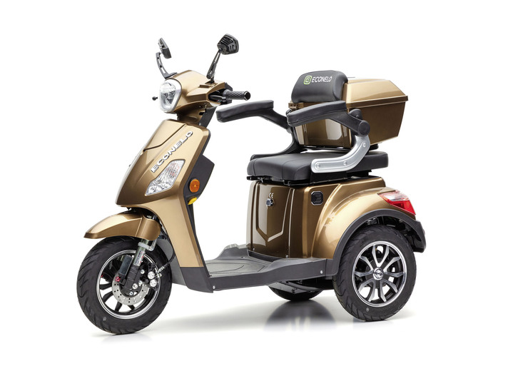 Elektro-Trike ECONELOJ1000 - Mobilität | BADER